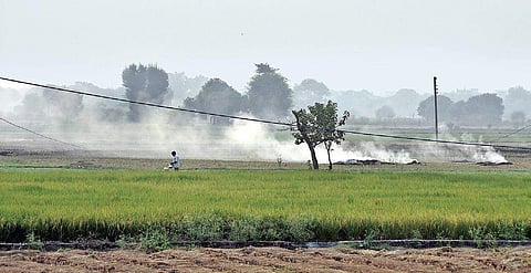 Farmers set fire to stubble in a field in north Delhi’s Narela area on Friday evening. (Photo| EPS, Parveen Negi)