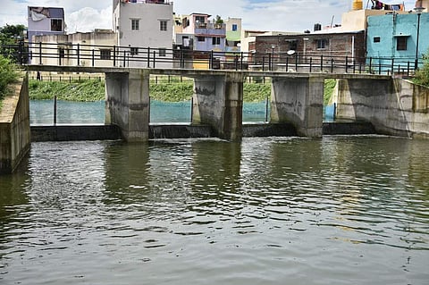 Localities flooded by surplus water of  Parthipattu lake. (Photo| P Jawahar/ EPS)