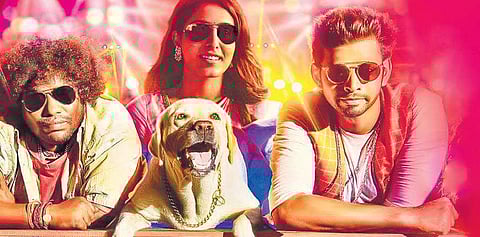 A still from 'Puppy'.