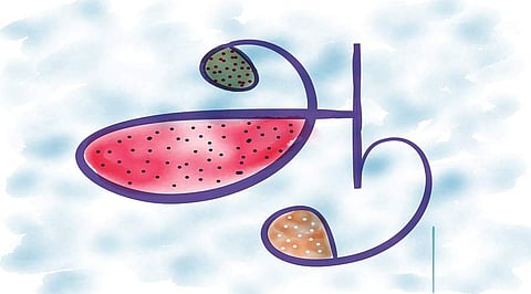 Funds will support research programme costs, equipment and seminars with invited scholars who are experts on Tamil societies and the Tamil diaspora in the US.