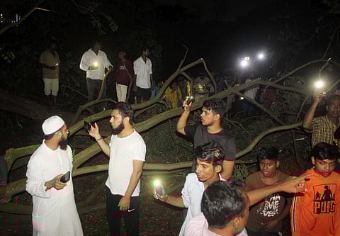 People enter in to the metro car shed on the spot during tree cutting at Aarey colony in Mumbai late Friday Oct 4 2019. | (Photo | PTI)