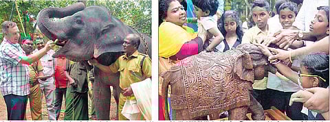 (From left) Tosh, who sponsored a meal for the elephant, feeds it at the Anayoottu ceremony held as part of the World Wildlife Week celebrations. The students of the  Government School for the Visually Impaired, Vazhuthacaud, getting a feel of an elephant