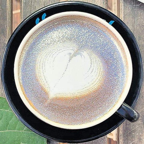 According to The Coffee Board of India, the country’s coffee production in 2018-19 stood at 3,19,500 tonnes.