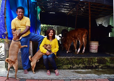 The Kochi couple who foster stray animals. (Photo| EPS)