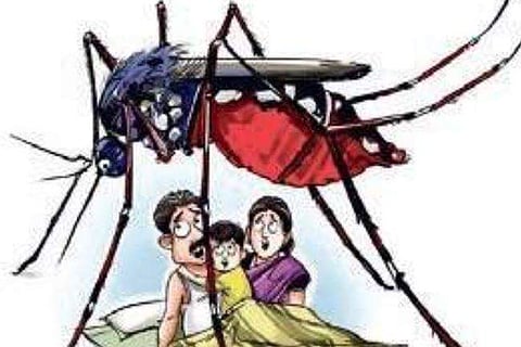 Since January to September, Patna recorded 409 cases of dengue.