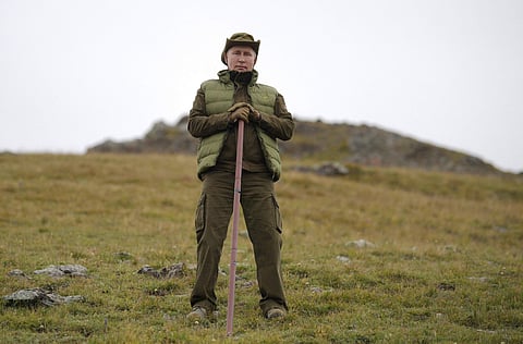 Russian President Vladimir Putin on a hunt for mushrooms (Photo | AFP)