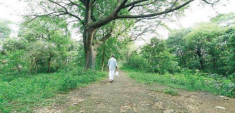 The proposed site for KMRL entertainment zone  at Kakkanad near  NGO quarters  Arun Angela