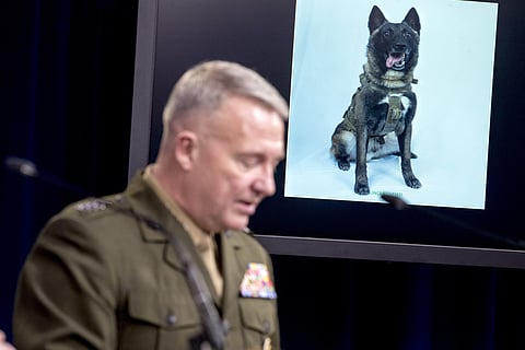 US Military dog Conan's image is displayed on a monitor as U.S. Central Command Commander Marine Gen. Kenneth McKenzie speaks at a joint press briefing at the Pentagon in Washington. (Photo | AP)