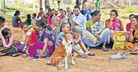 People affected by Cyclone Gaja sit at a relief camp in Tiruchy. (Photo | MK Ashok Kumar, EPS)