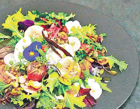 Should you try out the latest diets? 