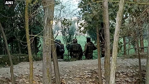 Visuals from the Bandipora encounter site. (Photo | ANI Twitter)