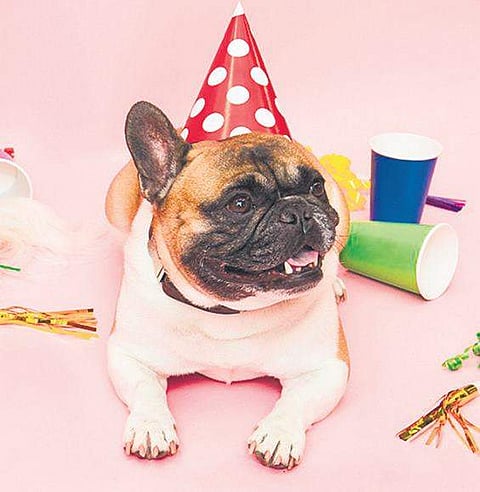 Representational Image