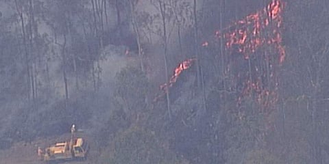 In this image made from video, forest trees are on fire in Kilkivan, Queensland state, Australia, Wednesday, Nov. 13, 2019. (Photo | AP)