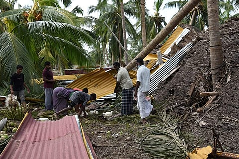 One year of Gaja: When 12000 chickens were killed overnight