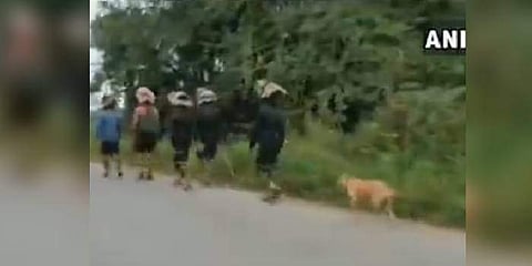 The canine has been following the group and has trekked a whooping 480 kilometres so far. (Video screengrab / ANI)