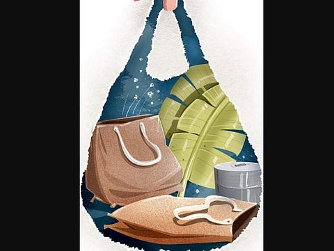 This company make biodegradable bags from corn to fight environment degradation