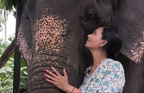 Woman who made documentary on elephants in Kerala faces cyber-bullying
