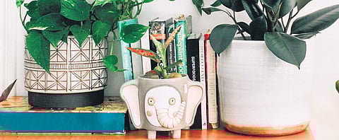 Keeping the air fresh with flora