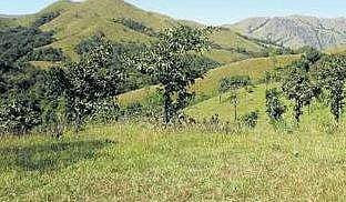 Western Ghats carbon footprint caused floods in Karnataka and Kerala in last two years: Study