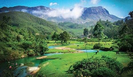 The wild side of biodiversity-rich Kerala