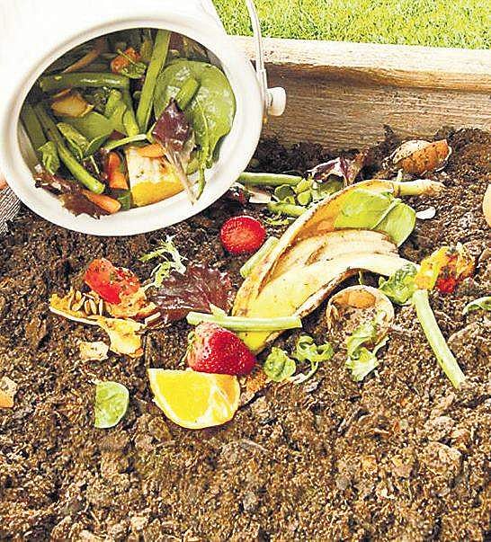 What Kitchen Scraps Can I Compost: Easy Guide for Eco-Friendly Waste