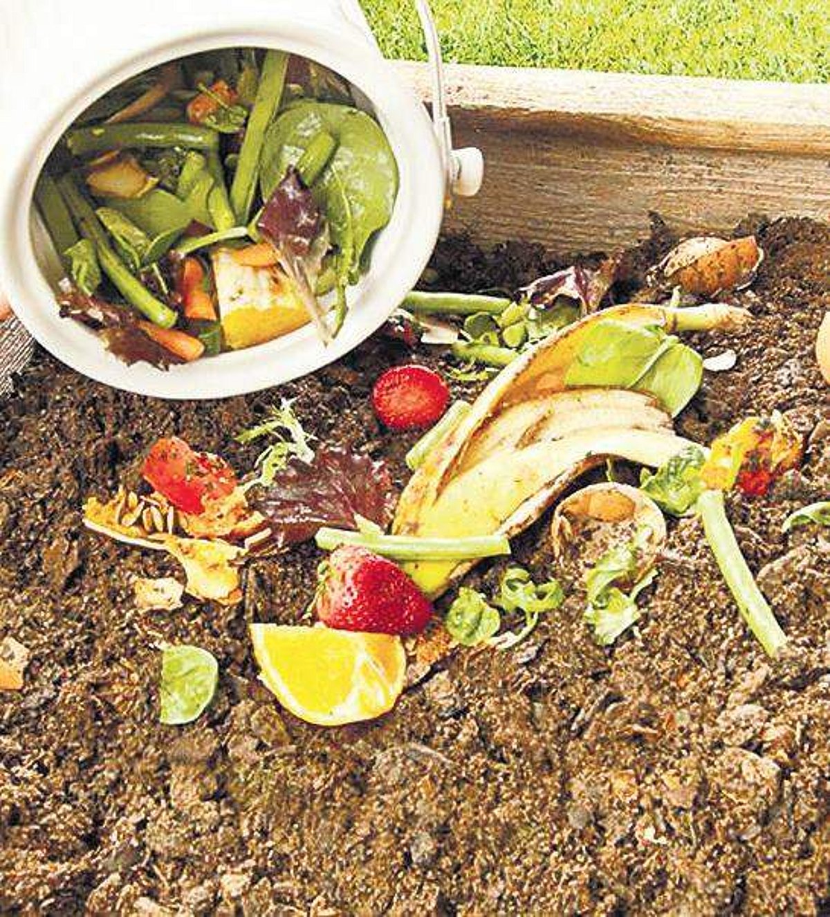 What Kitchen Scraps Can I Compost: Easy Guide for Eco-Friendly Waste