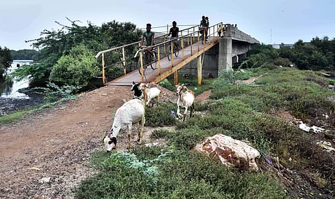 The bridge constructed on Kosasthaliyar River connecting Sadayankuppam  to Manali High Road at Thiruvottiyur has been abandoned halfway for the past eight years, in Chennai (Photo: P Jawahar)