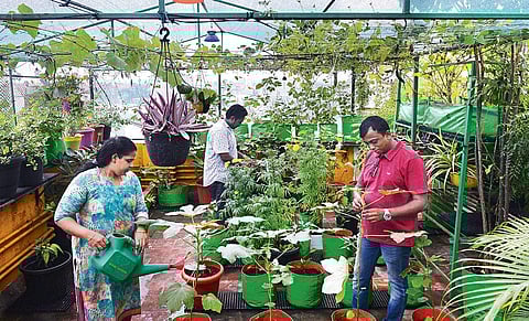 Mythrean and his wife take care of their garden | Debadatta Mallick