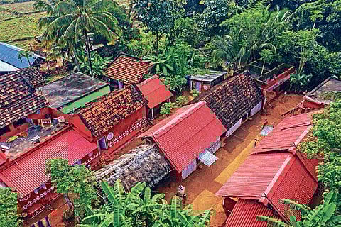 Muduligadia, a nondescript village in Nayagarh district, has earned the distinction of the first eco-village.