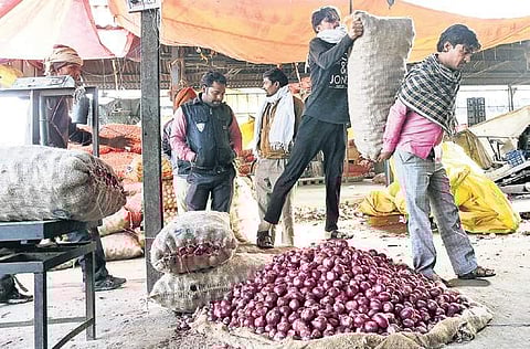 A worker helps another lift a gunny bag filled with onions at a wholesale market in New Delhi. Rising onion prices have hit scores of households. (Photo | Parveen Negi, EPS)