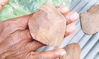 Pangolin scales have also been recovered from them.