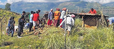NSS volunteers from Sacred Heart College in Kochi cleaning the area around the muniyaras (dolmens) at Marayoor near Munnar | Express