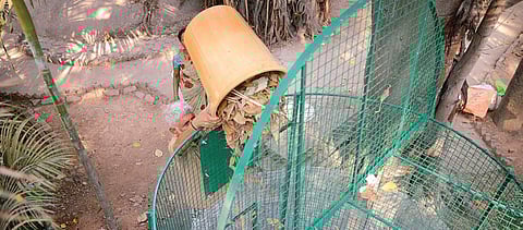 An employee at temple seen dumping dry waste into the bin  Pushkar V