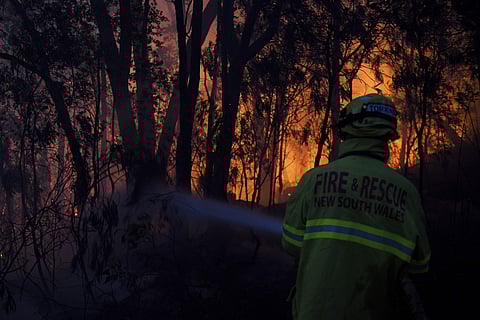 Fire and Rescue NSW firefighters conduct property protection as a bushfire burns close to homes on Railway Parade in Woodford NSW, Friday, Nov. 8, 2019. (Photo | AP)