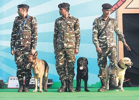 Snapshots from the previous editions of Pet Fed show the happy coexistence of pets and pet parents