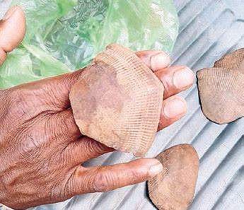 The DFO said though they have arrested several persons in this connection, they hadn’t detected such online deal or trade before. (File Photo)