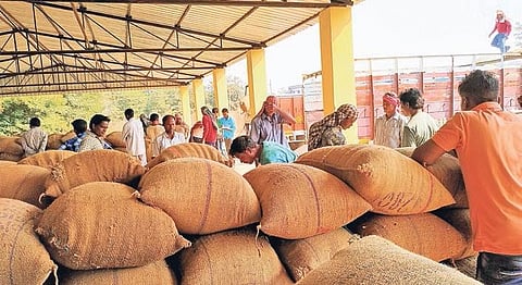 Paddy bags in a procurement centre in Kalahandi district (Photo | EPS)