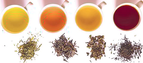 The genesis of tea-drinking India