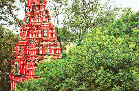 The guardian angels