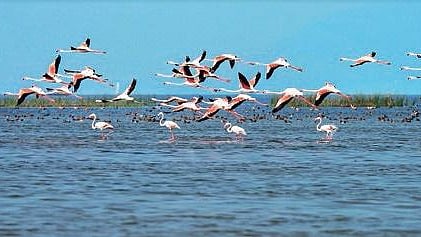 Chilika Lake