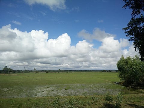 The site where Cheyyur thermal plant was proposed | Special Arrangement