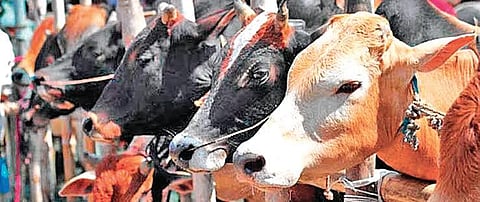 Image used for representational purpose.