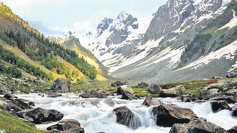 Thajiwas Glacier, Jammu and Kashmir