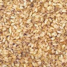 Popular in UK, Malayali’s ‘Komban’ beer to foray into Kerala