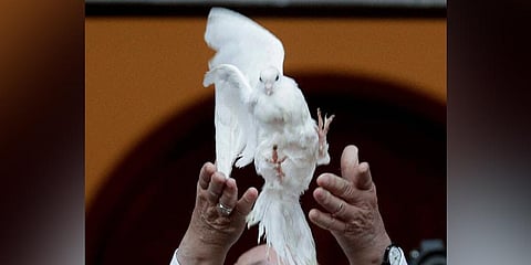 For representational purposes (Photo | AP)