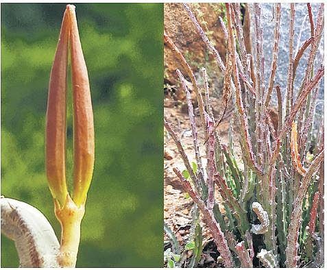 For representation purposes