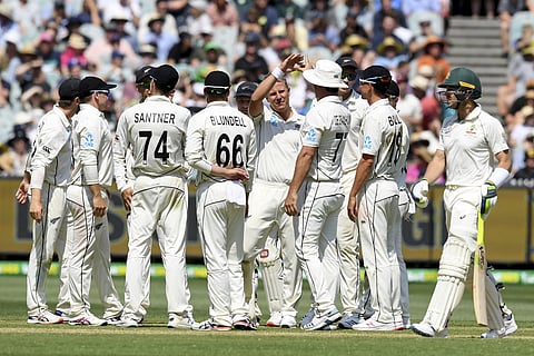 New Zealand players celebrate the wicket of Australia's Tim Paine, right. (Photo | AP)