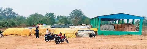 Paddy grains covered with polythene sheets in Brahmanchendia mandi in Kalahandi district I Express