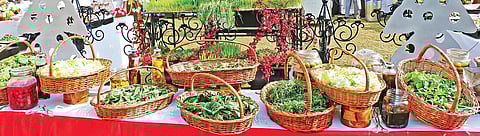 Chefs are also working with emotional food along with childhood or regional memories. Food memories specifically offer a magical feeling, transporting you back in time through food.