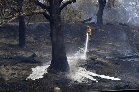 A firefighter is seen as a fire hit Clovemont Way in Bundoora outside Melbourne. (Photo | AP)